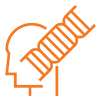 Genetic Hair loss