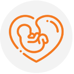 Pregnancy