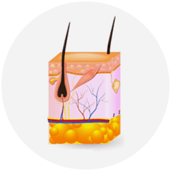 Laser Hair Removal Step - 1